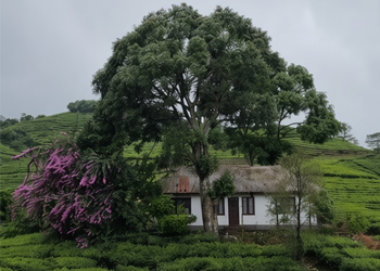 Vagamon